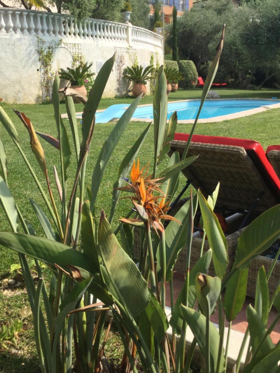 Mas De Provence En Riviera La Roquette-sur-Var