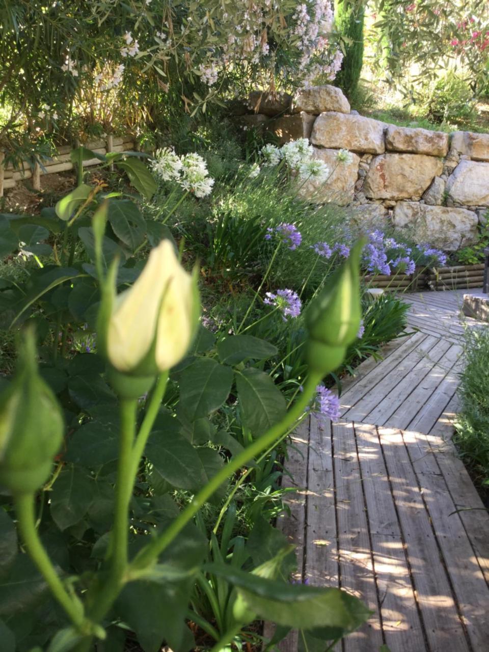 Mas De Provence En Riviera La Roquette-sur-Var