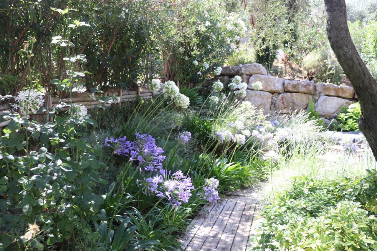 Mas De Provence En Riviera Gasthuis 4*