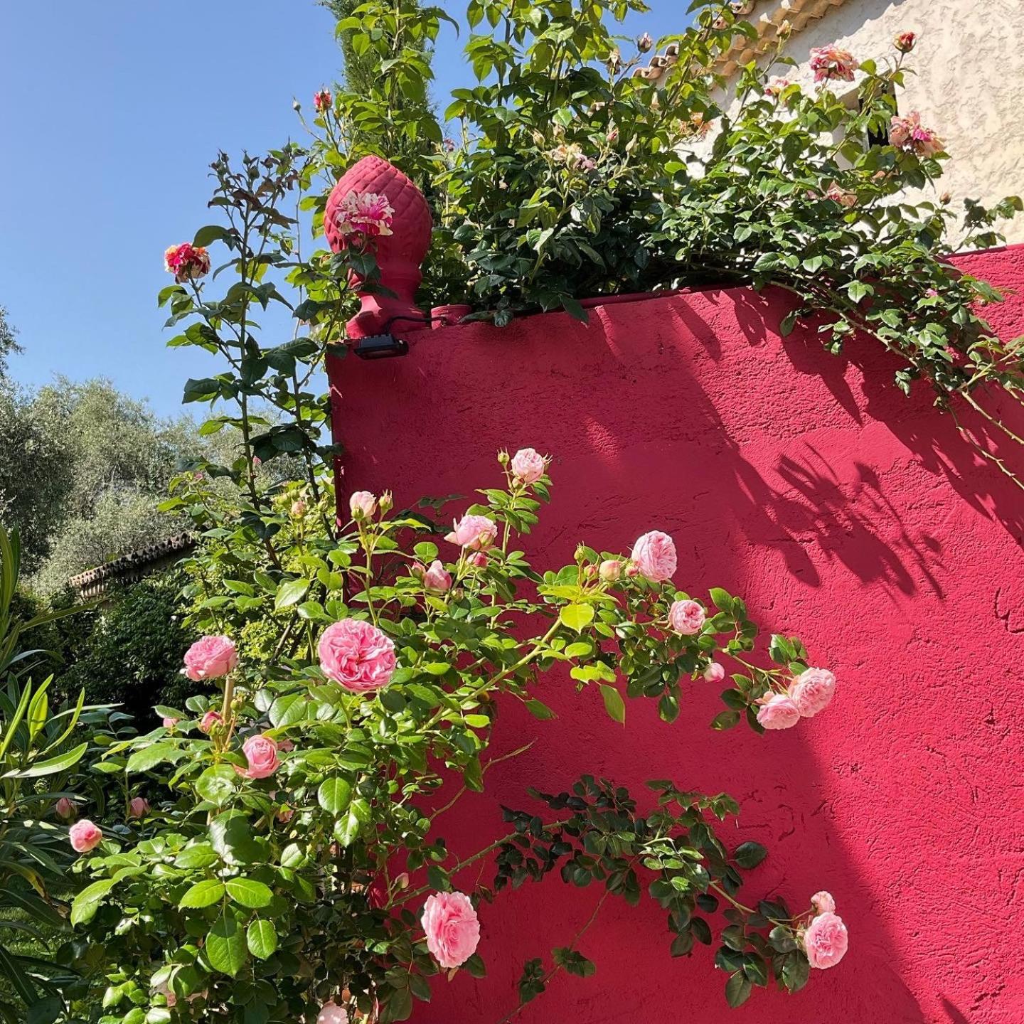 Mas De Provence En Riviera Guest house